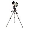 Celestron - Advanced VX 8”...