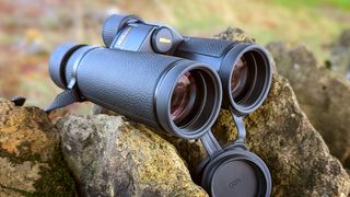Nikon Monarch HG 10x42 Binoculars sitting on a stone wall in the countryside