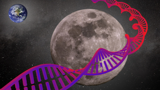 An illustration shows the moon wrapped in DNA representing its potential as a biorepository